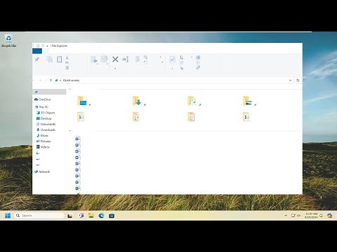 Folder and File Names Are Not Showing in Windows 11/10 [Tutorial]