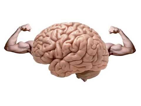 CPU explained for kids