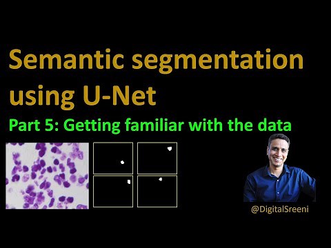 77 - Image Segmentation using U-Net - Part 5 (Understanding the data)