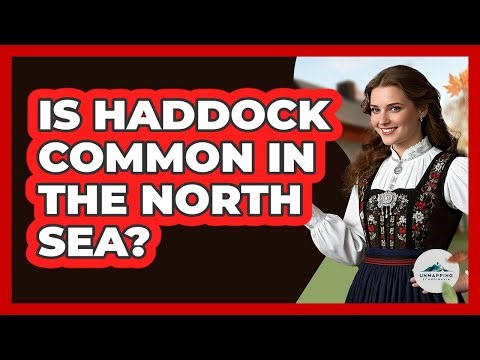 Is Haddock Common In The North Sea?