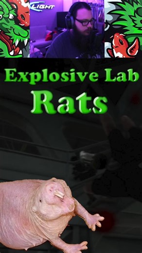 Explosive Lab Rats #Tarkov #Shorts