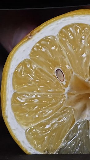 Delicious desserts with a touch of lemon 🍋👩🏼‍🍳 #instafood #homemadefood #recipeideas #cooking #lemondessert | Dishcovery