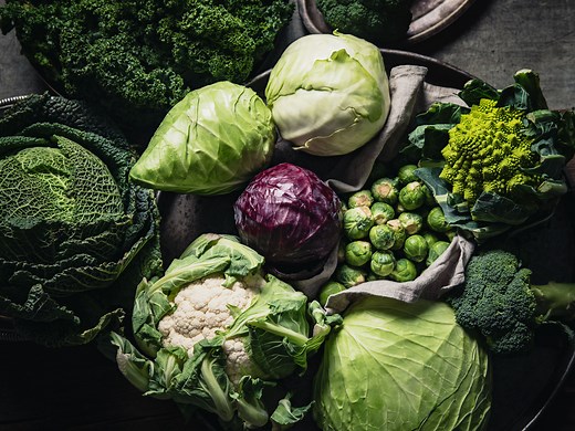 The Ultimate Guide to Cabbage: 11 Varieties and How to Use Them | Stories | Kitchen Stories