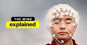 The mind, explained in five 20-minute Netflix episodes