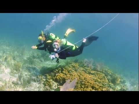 Using a Float & Flag