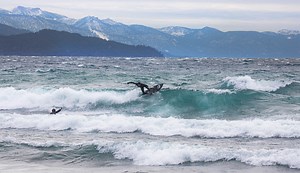 Surfing at 6,000 ft: 'Weird Waves' in Lake Tahoe | The Inertia