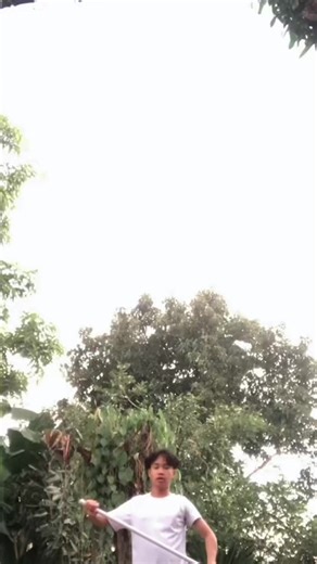 Mastering Color Guard Routine Techniques