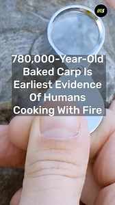 The gigantic carp wasn't cooked over an open flame, and may have been carefully baked in an earthen oven. | IFLScience