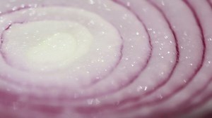 Free Loop Videos: 4K & HD | No Watermark | Download Now