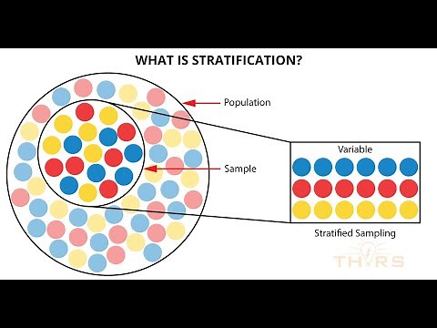 What is Stratification? || THORS 7QC Tools: Stratification Course Preview