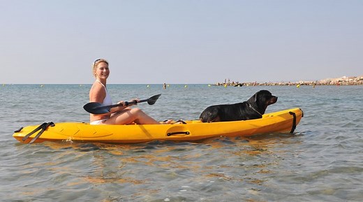 6 Best Kayaks For Dogs 2025
