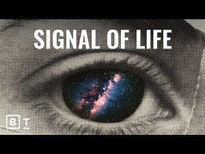 What the absence of aliens on Earth really tells us | David Kipping