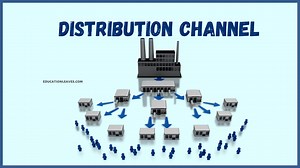 Distribution Channel or Channel of Distribution [PDF Included] Definition, Types, Functions, Benefits, and Drawbacks