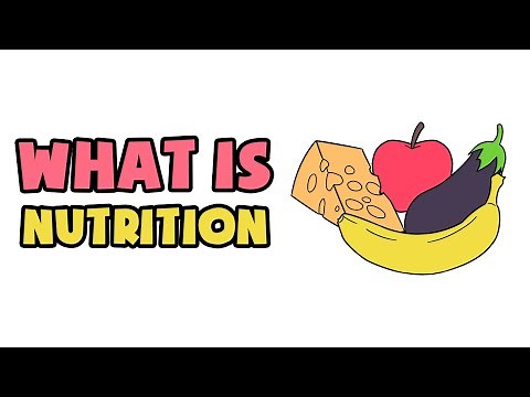 What is Nutrition | Explained in 2 min