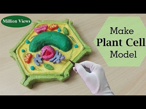 Simple and Easy way to make plant cell Hexagone shape model |3d styrofoam carving | Holiday Homework