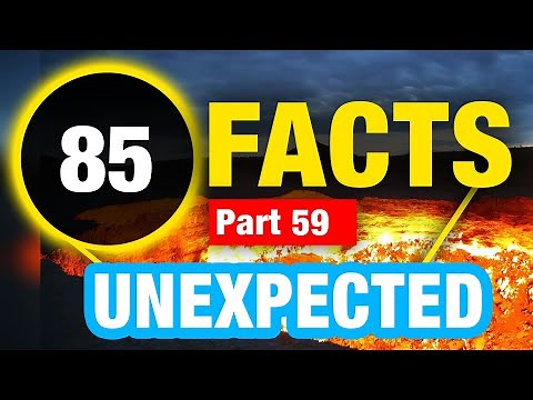 85 Random Facts