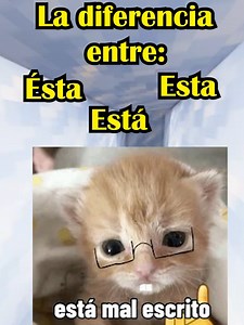 Tres Diferentes Idiomas: Una Mirada Lingüística