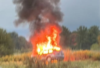 太嚣张！列治文山连开数枪杀人，凶手烧车销毁证据_无忧资讯