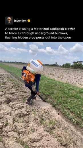 Flushing Pests From Burrows 🌾