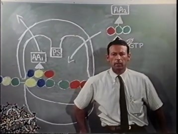 Protein Synthesis: Amino Acids, mRNA, Ribosomes & Peptide Bonds Explained