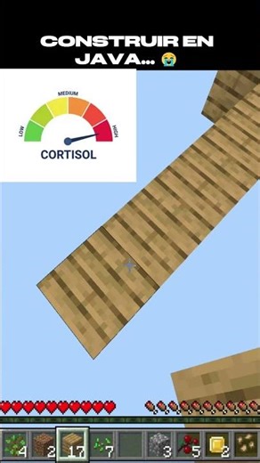 BUILDING: JAVA VS BEDROCK - Minecraft 😭😍