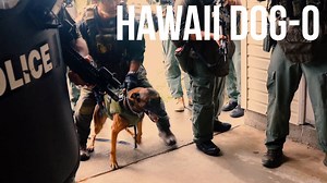 Hawaii Dog-O Marine Corps Base Hawaii's Special Reaction Team works with the Honolulu Police Department (Official Site) to train military working dogs. (U.S. Marine Corps video by Cpl. Brendan Custer) | U.S. Marine Corps