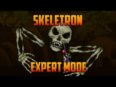 Terraria - Skeletron Expert Mode Yoyo Guide