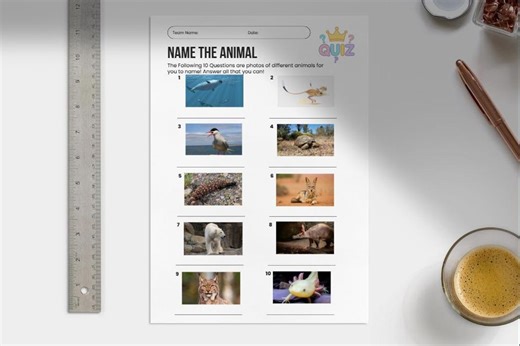 Printable Trivia Quiz: General Knowledge, Animals, British, Geography (PDF) - Etsy