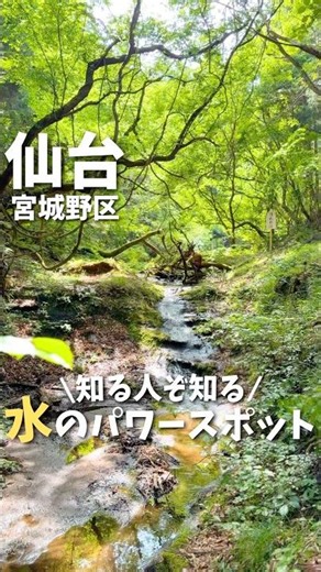 【仙台】市内にこんな場所が？！知る人ぞ知るパワースポット⛩️#宮城旅行 #宮城観光 #仙台観光 #仙台旅行 #神社 #パワースポット #japan #shrine #sendai #shorts