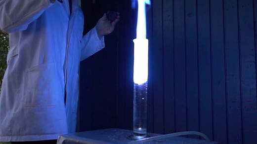 Barking Dog Reaction and Demonstration