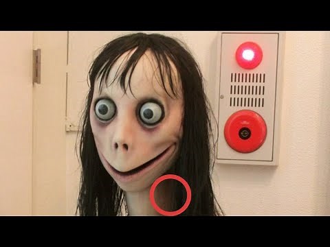 👀¿Quién es Momo y su historia?✅ Es Real o NO. EL reto de Momo challenge un reto de terror popular