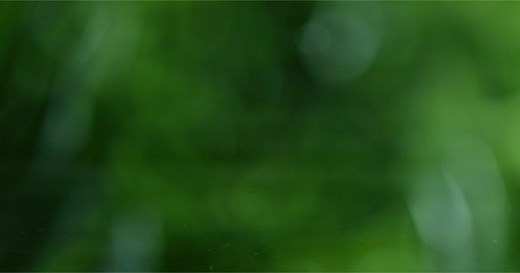 Stock Videos & Royalty-Free Footage | Shutterstock