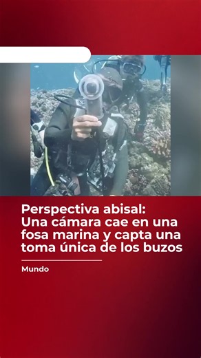 Un accidente que terminó en una obra de arte visual. Al instructor de buceo Miyakojima Kuni-san se le cayó accidentalmente su cámara subacuática dentro de una fosa en el fondo del mar. Mientras el dispositivo descendía por el agujero, continuó grabando y logró registrar una increíble e inusual perspectiva en contrapicado de todo el grupo de buceadores desde las profundidades. 🌊📸 #Curiosidades #Buceo #MundoMarino #FotografiaSubaquatica #DigitalSanLuis