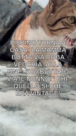 Pierino e il Nonno Vintage!" #Barzelletta #Pierino #ViralReel #Humor #Divertente