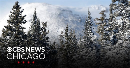 What are "exploding trees"? This is what's really happening to trees in cold weather