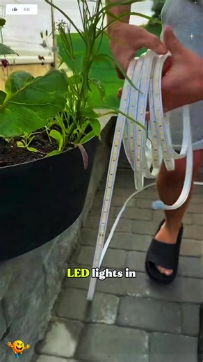 Installing LED Strip Lighting in Your Garden