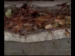 How Does the LeafGuard Gutter System Work?