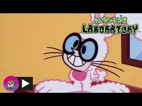 Dexter's Laboratory | Catch of the Day | Cartoon Network