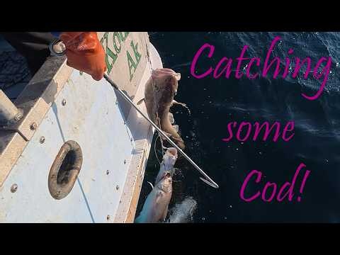 Chores, Travel, and Catching Cod: A Day in the Life on Emerald Isle! | Alaska Commercial Fishing