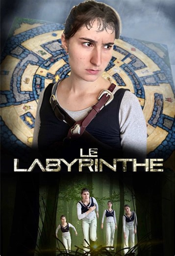 🎥Dvd n°23 sur 200 de la vidéothèque de Mamie - 🍃THE MAZE RUNNER / Le Labyrinthe in French #fyp #mazerunner #movie #prankwars #creativity