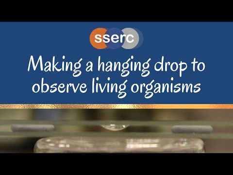 Hanging Drop - Microscopy