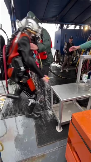 Diver Safety: Consequences of Skipping Decompression