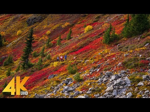 11 HRS Incredible Fall Foliage - Best 4K Autumn Nature Scenes from Around the World + Calming Music